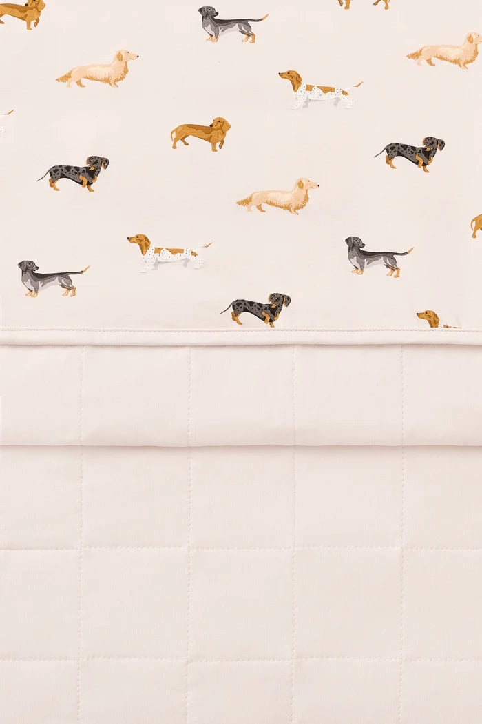 Baby Blanket in Dachshund 1.0