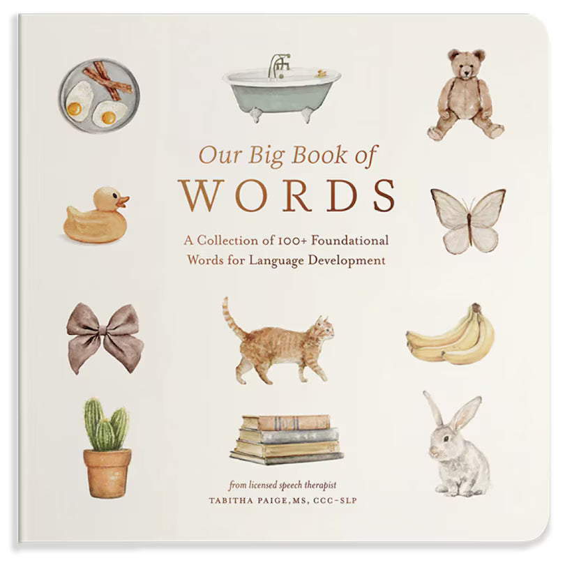 Our Big Book Of Words