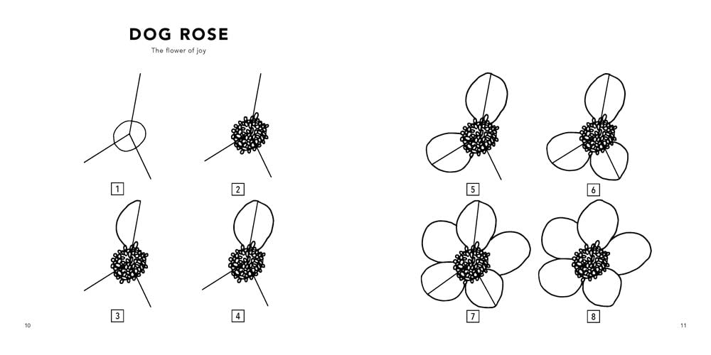 How to Draw - Modern Flowers
