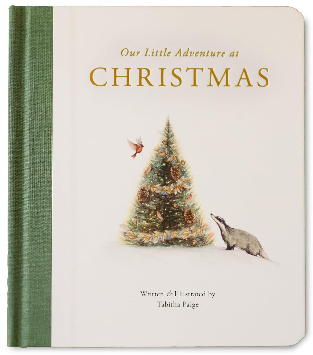Our Little Adventure at Christmas
