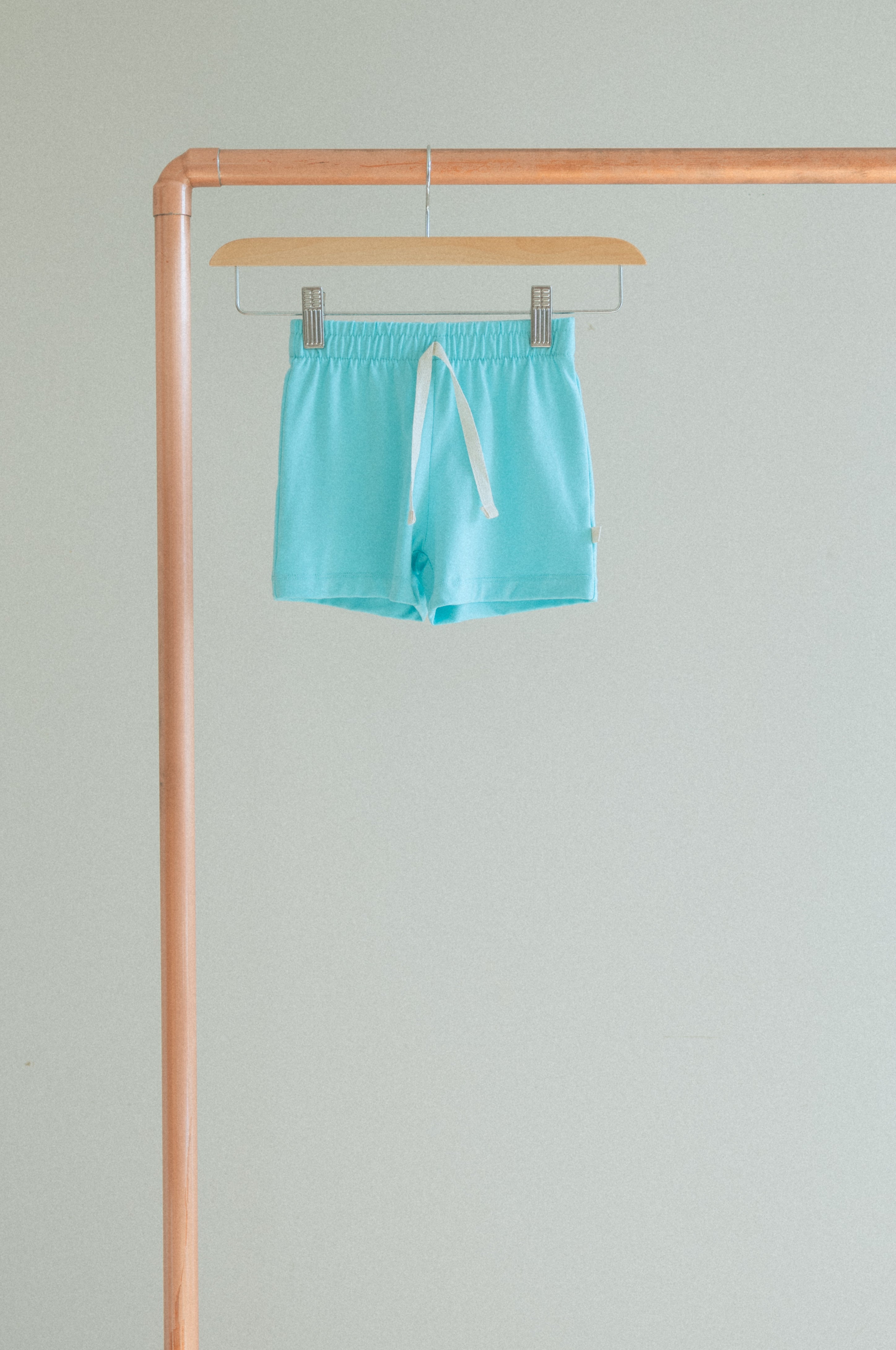 Basic Shorts - Blue Raspberrry Slush