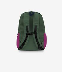 Colorblock 26L Backpack - Raspberry Fields