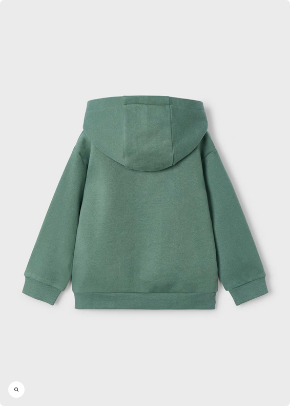 Dino Pullover Hoodie