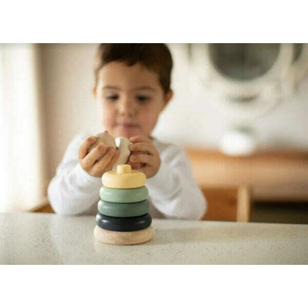 Wood and Silicone Stacker - Assorted Colors