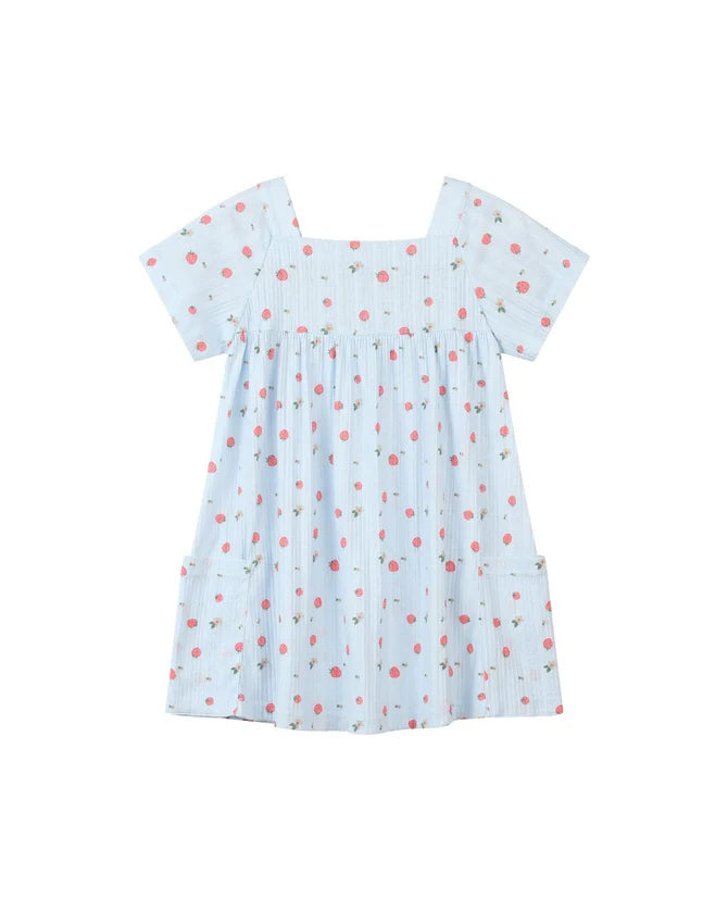 Rylie dress - Blue Strawberry