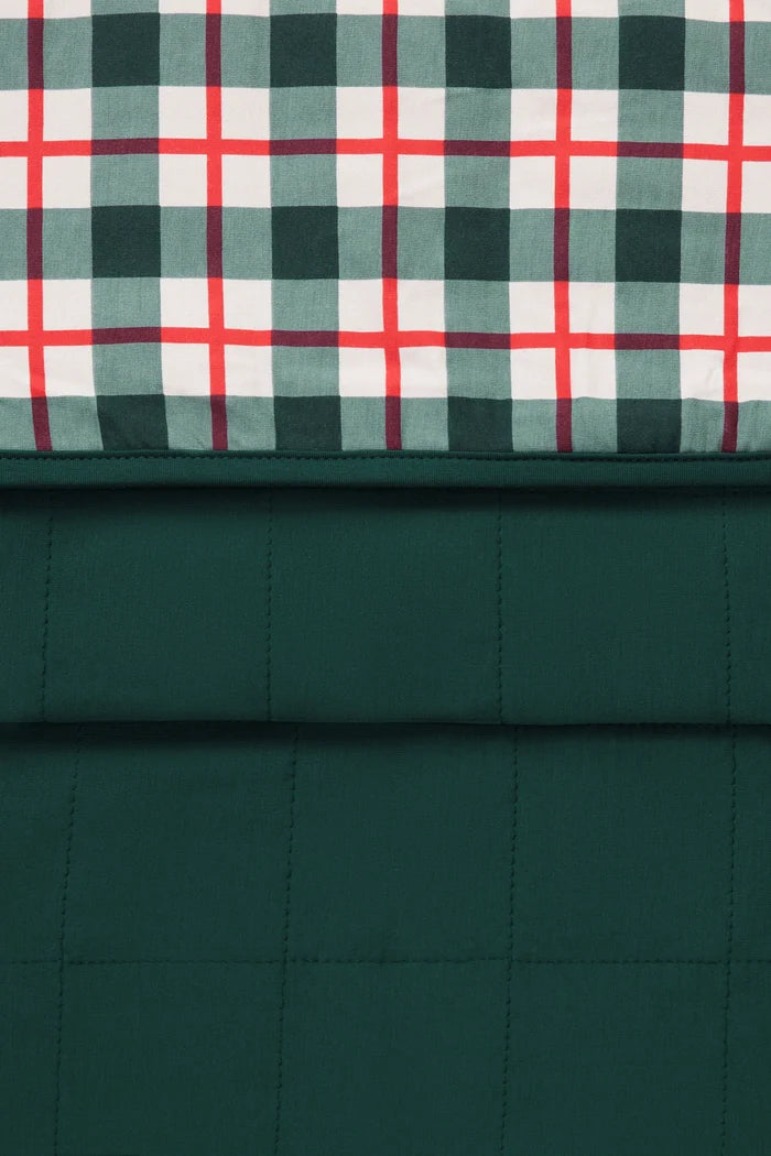 Toddler Blanket in Holiday Plaid 1.0