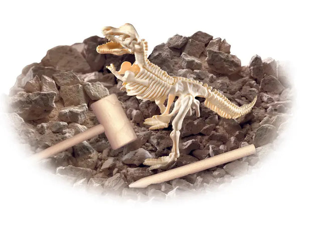 Diggin up Dinosaurs T-rex