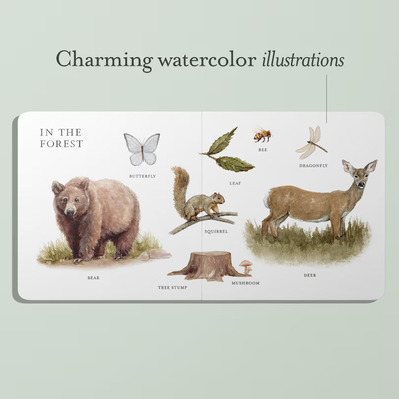 Our Big Book Of Words