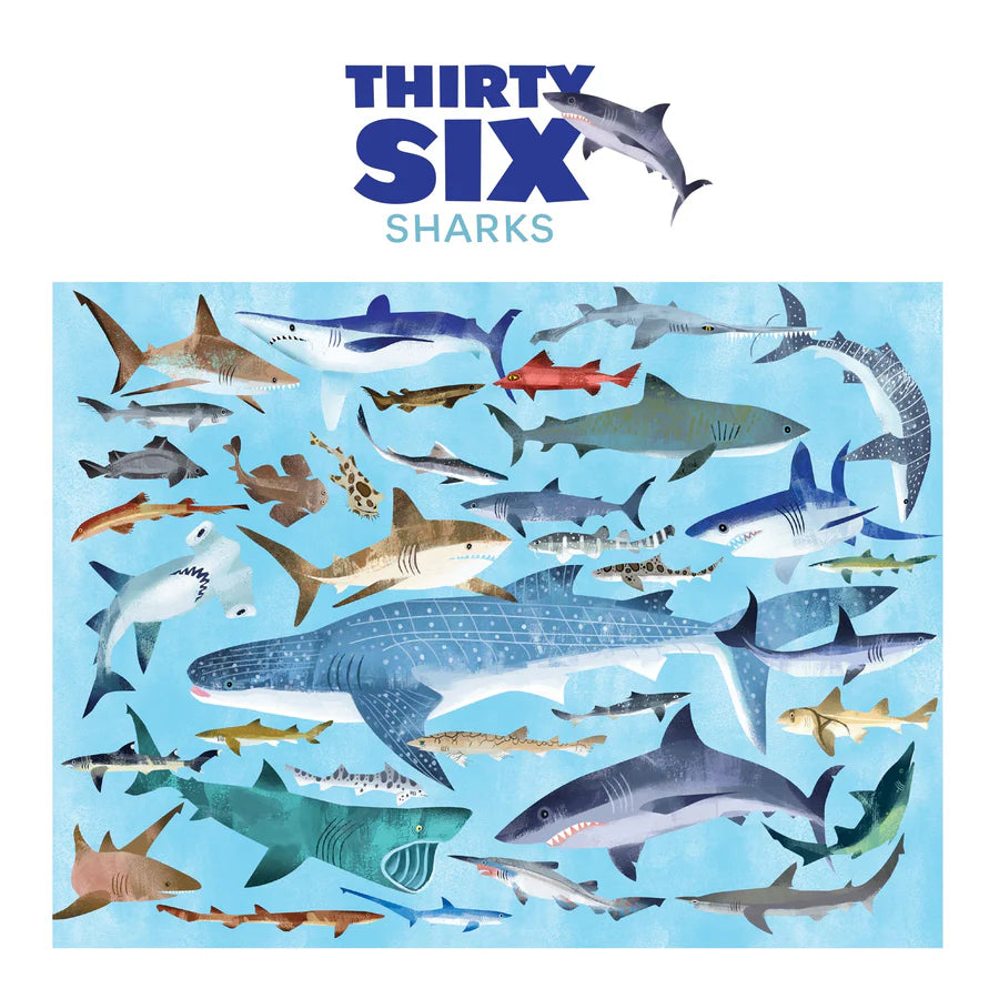 Shark World Puzzle - 100 Piece