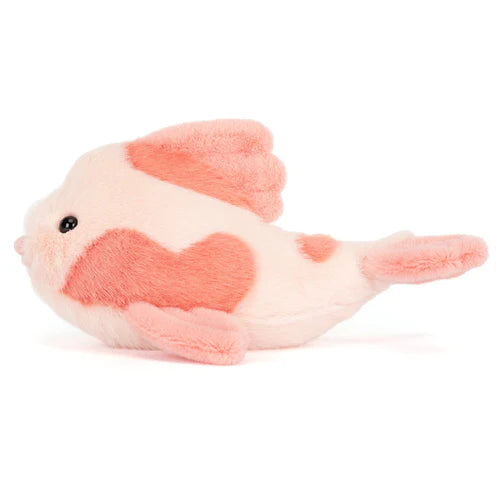 Fancy Carp