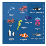 My Sticker Paintings: Ocean Animals