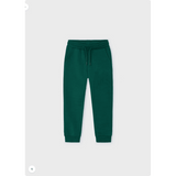 Joggers - Alpine Green