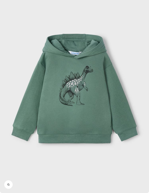 Dino Pullover Hoodie