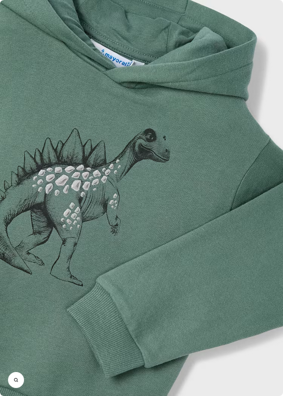 Dino Pullover Hoodie