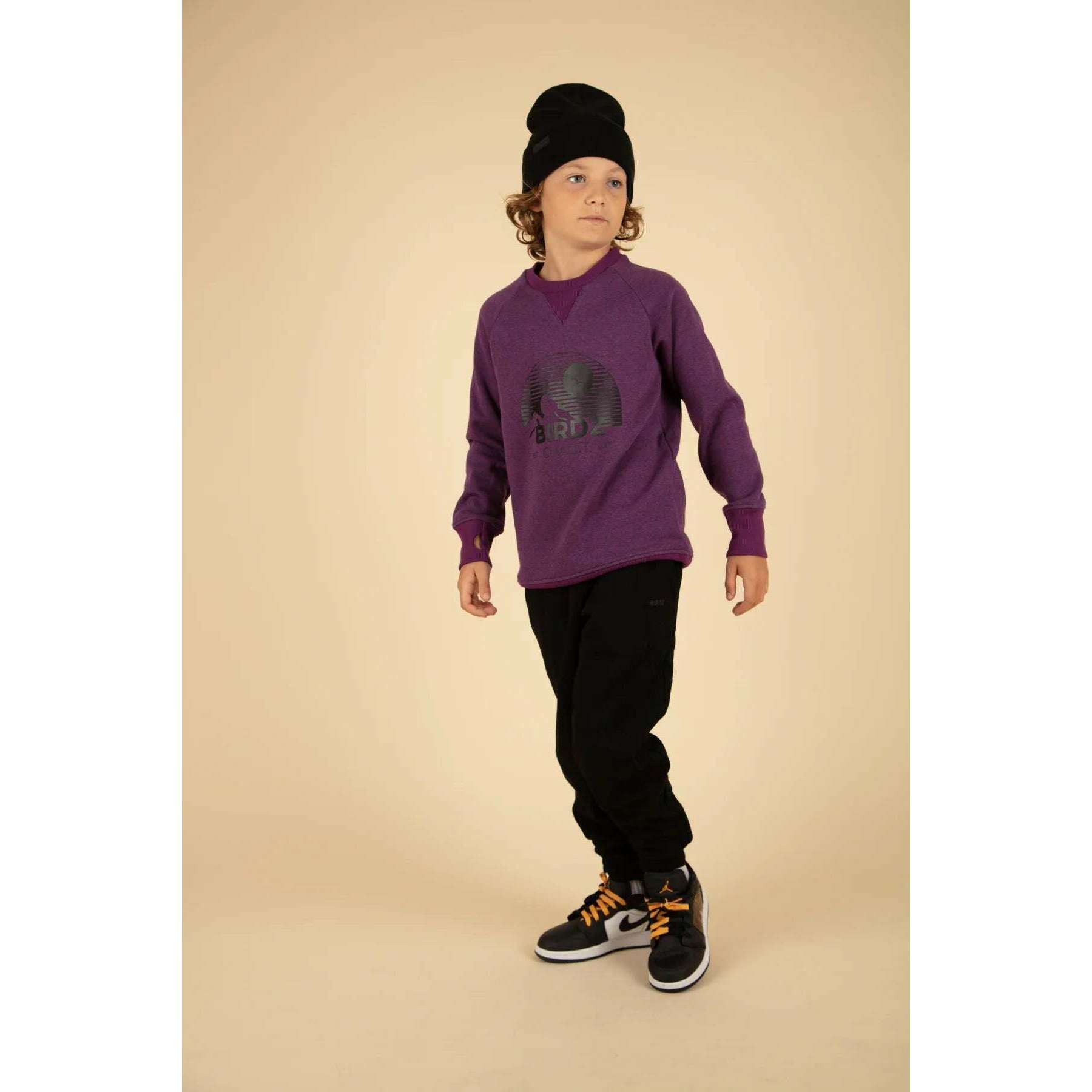 Chalet Sweat Mountain Crewneck - Purple