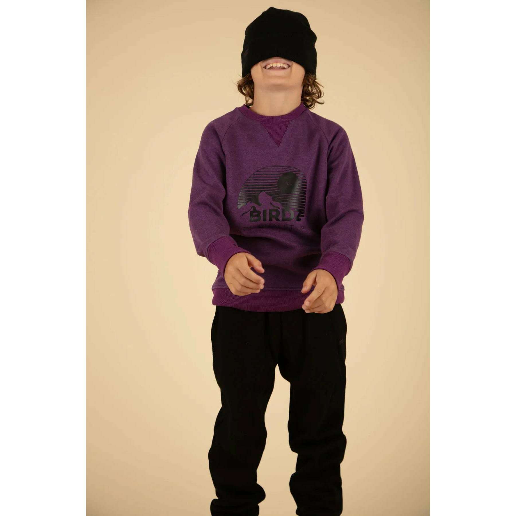 Chalet Sweat Mountain Crewneck - Purple