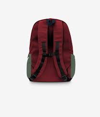 Colorblock 26L Backpack - Highland
